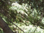 dscf0583