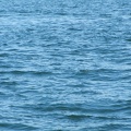 dscf0890-2094540435