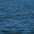 dscf0891-393048896