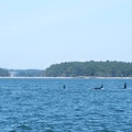 dscf0892-1723695448