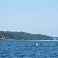 dscf0894-1112538075