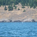 dscf0897-1526361213