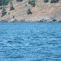 dscf0898-1394721255
