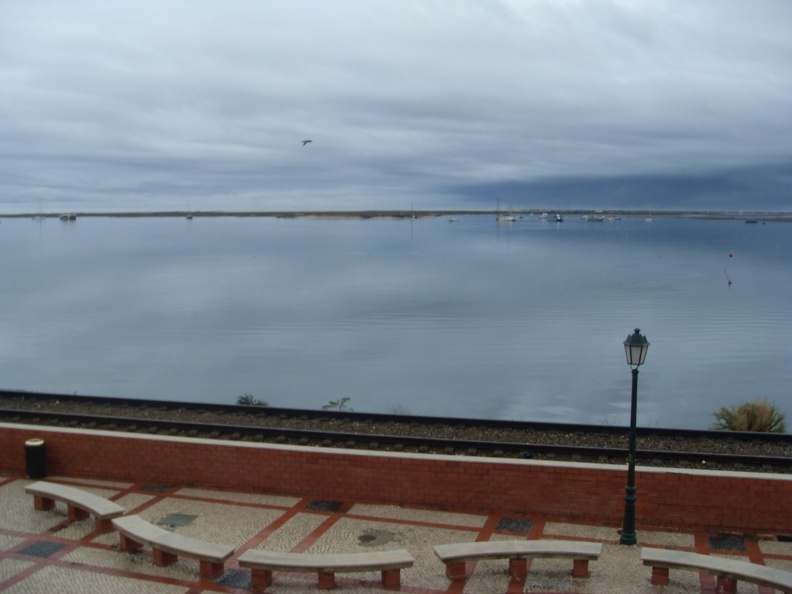 SDC10519.JPG