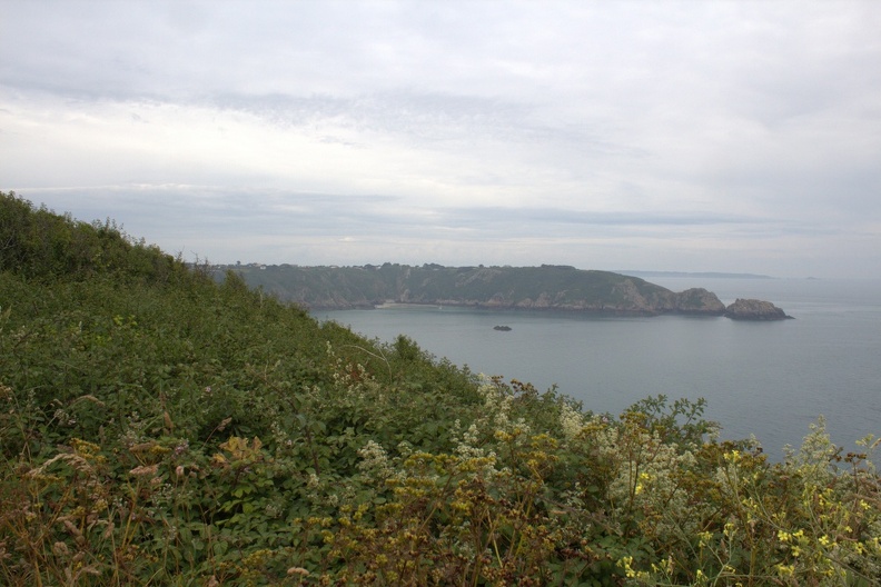 IMG_1572.jpg