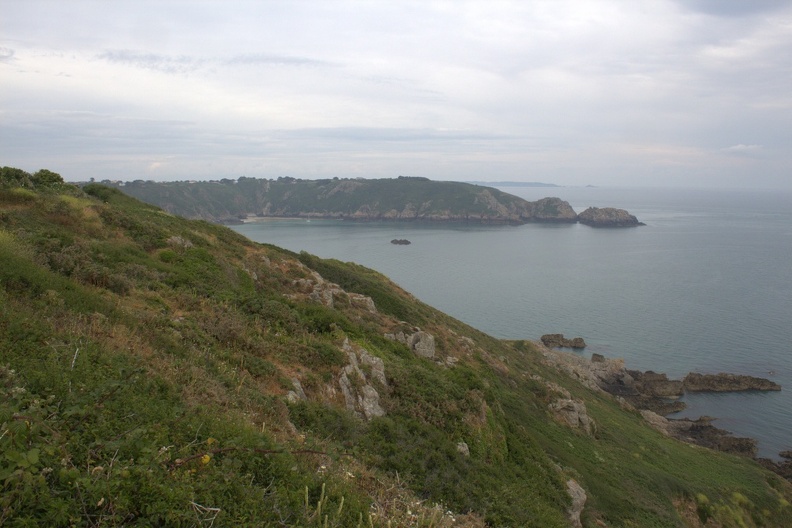 IMG_1574.jpg