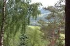 IMG_0649