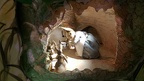 IMAG0065