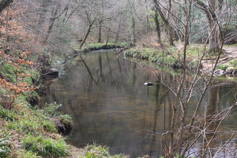 River at Fingle Bridge