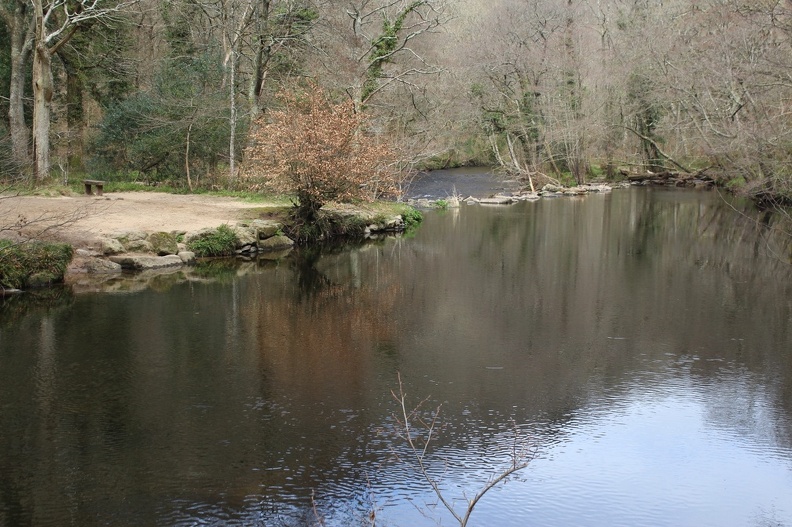 River and reflections at Fingle Bridge IMG_3860.CR2
