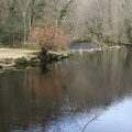 River at Fingle Bridge