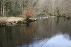 River at Fingle Bridge