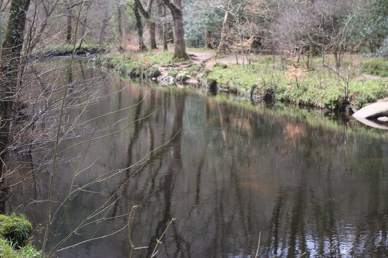 River at Fingle Bridge