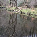 River at Fingle Bridge