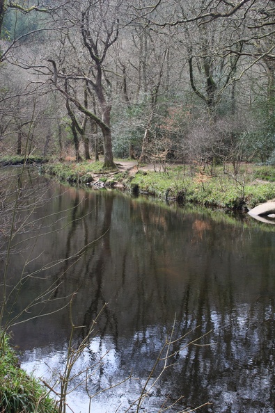 River at Fingle Bridge