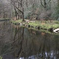 River at Fingle Bridge