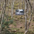 Art at Fingle Bridge