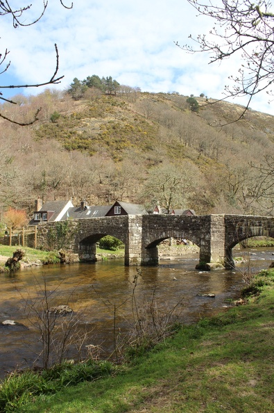 Fingle Bridge