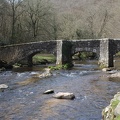 Fingle Bridge