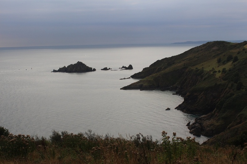 Coleton Fishacre