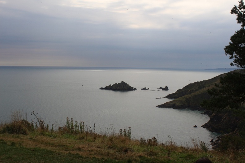 Coleton Fishacre