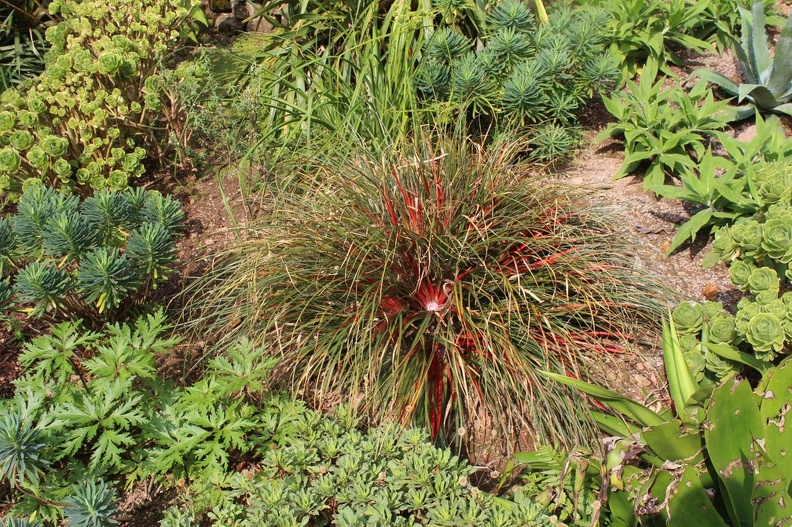 Coleton Fishacre