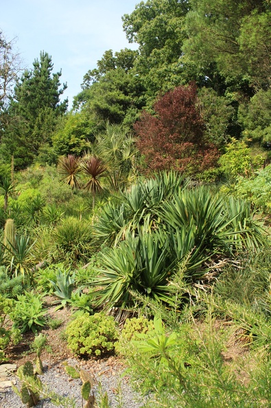 Coleton Fishacre