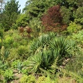 Coleton Fishacre