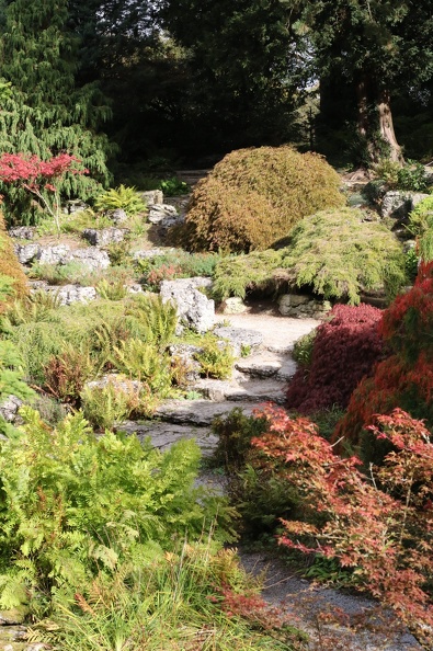 Acer Garden at Sizergh Castle CA7D3700.CR2