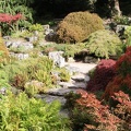 Acer Garden