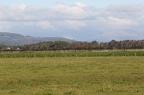 Hills from Grange