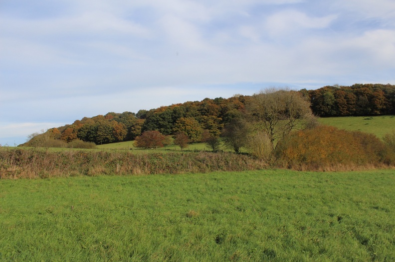Woodlands near Heage