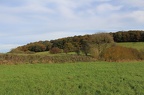 Woodlands near Heage