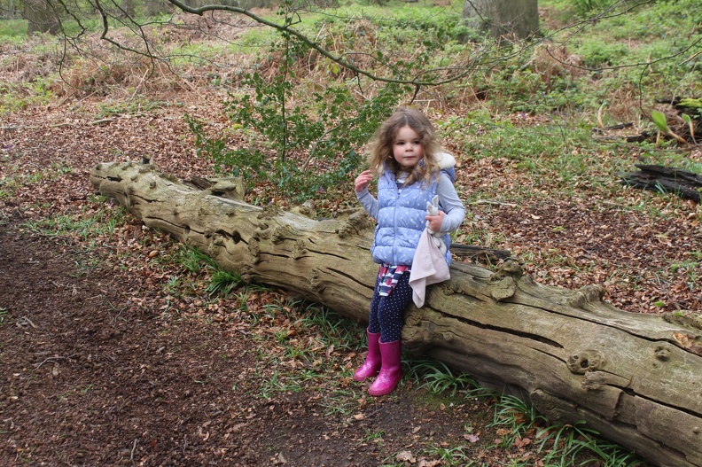 Zoe on log