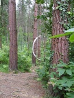 dscf1295
