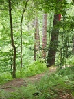 dscf1296