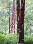 dscf1297