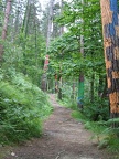 dscf1299