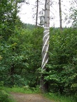 dscf1300