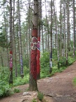 dscf1304