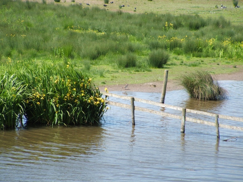 DSCF1914.JPG